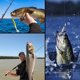 thumbnail image 5 of Señuelos de pesca de plástico blando YONGSHENG Kit de señuelos de pesca ecológicos 20 piezas, 5 of 5