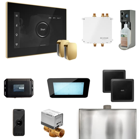 Mr Steam Bliss Max Steam Shower Ctrl Pkg w/iSteamX Control and Steamhead in Black Polished Brass