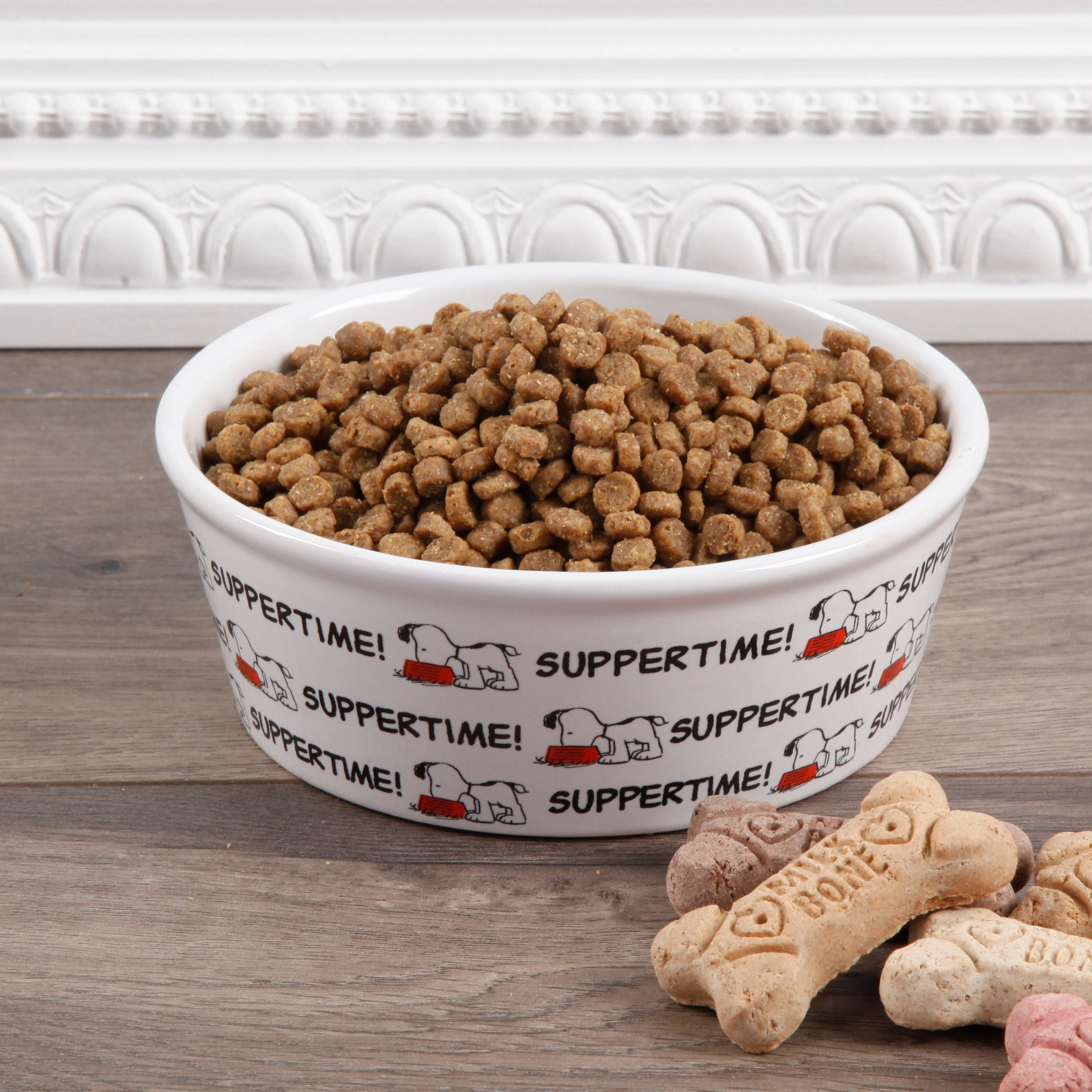 peanuts dog bowl