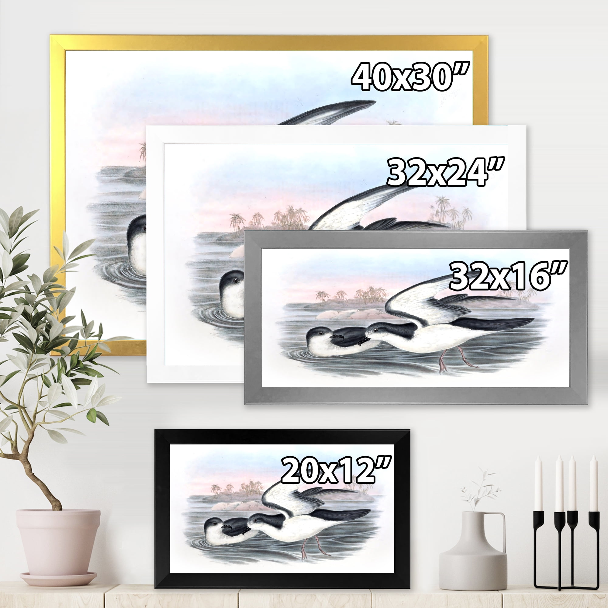 Designart 'Ancient Australian Birds X' Traditional Framed Art Print