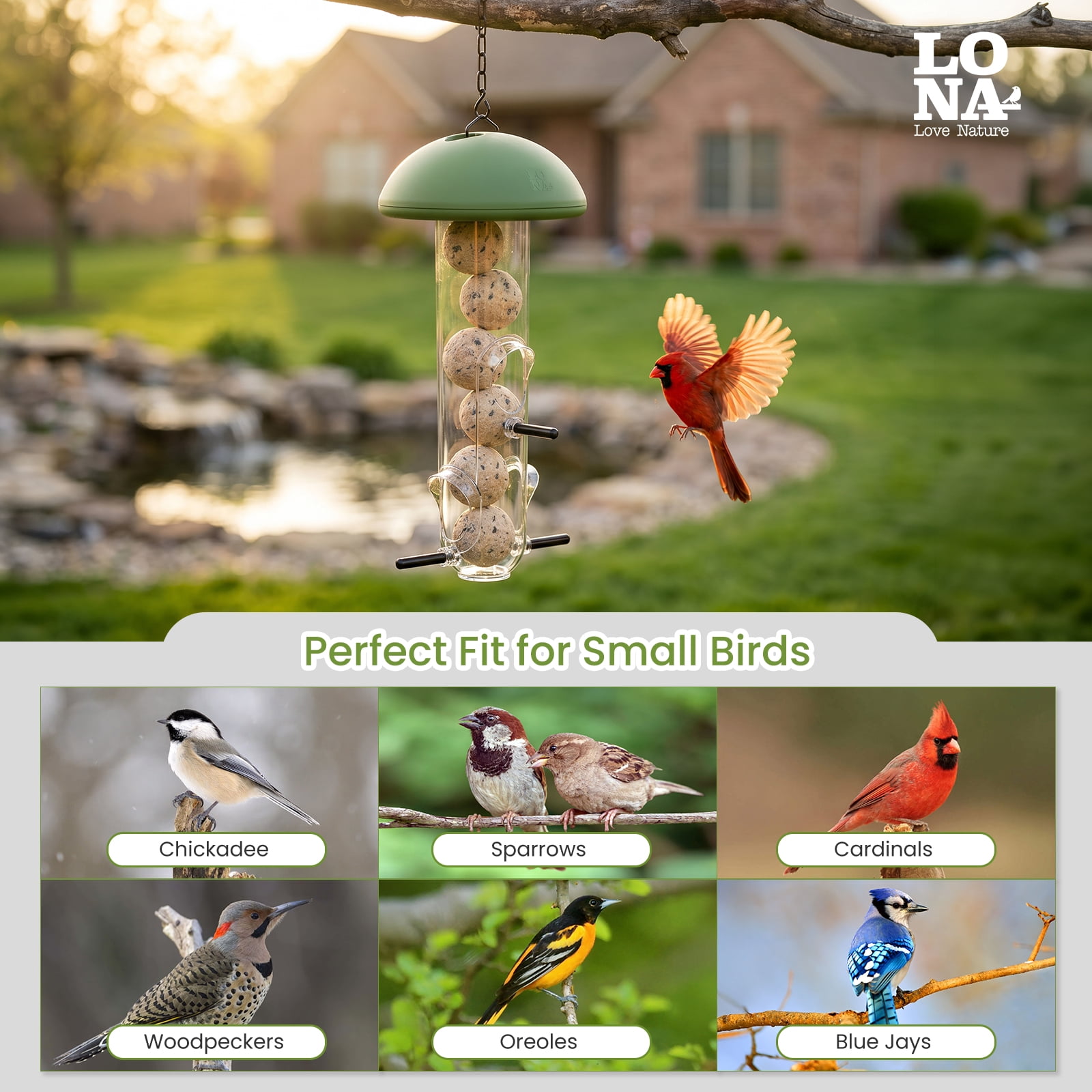 LONA Suet Ball Bird Feeder Outdoor Hanging Fat Ball Feeders, Durable Weatherproof Washable for Wild Birds