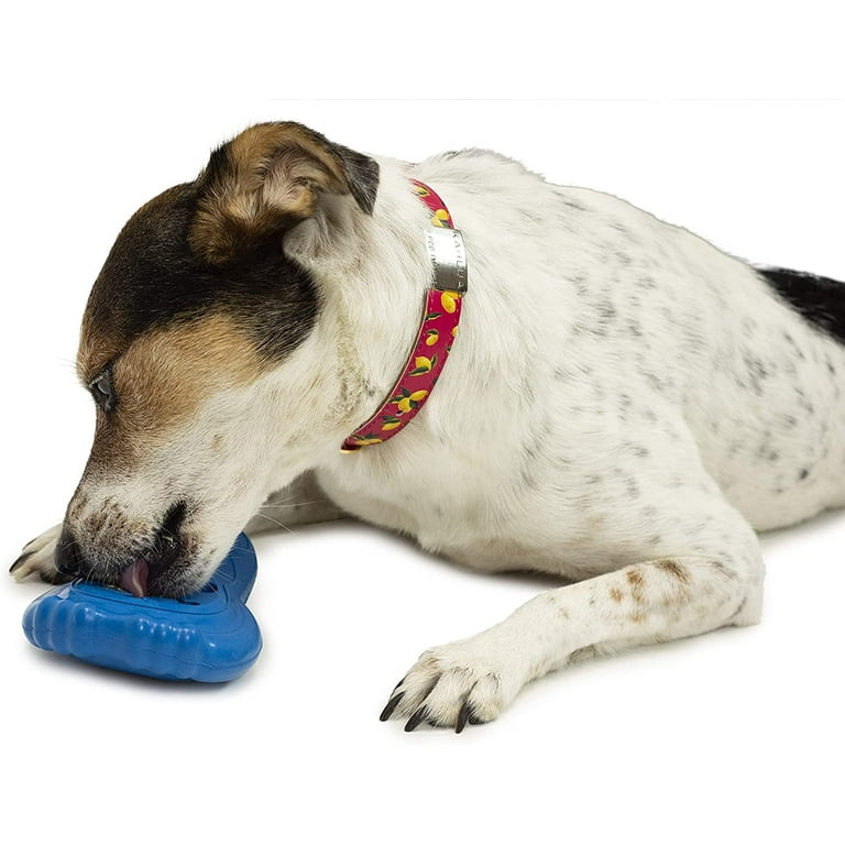 Chilly penguin top dog toy
