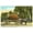 Unframed, variant on Art.com Giant Pineapple on Wagon, Florida Art Print, 18" x 12"