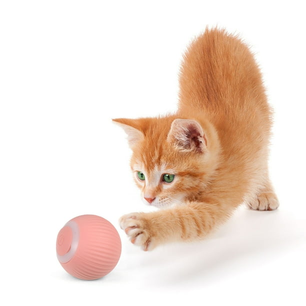 Self rolling hotsell cat toy
