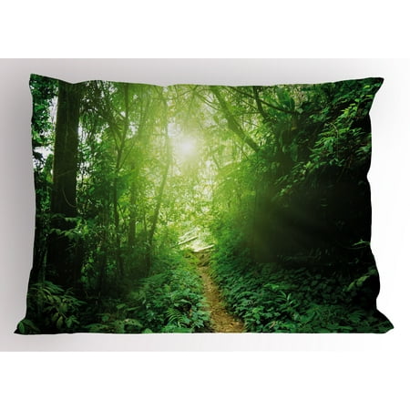 - Landscape Pillow Sham A Way in the Jungle of Malaysia Rainforest Fresh Grass Trees Rural Morning Scenery, Decorative Standard Queen Size Printed Pillowcase, 30 X 20 Inches, Green, by Ambesonne