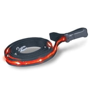 Light Up Pet Leash