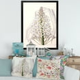 thumbnail image 3 of Designart 'White Vintage Orchid I' Traditional Framed Art Print, 3 of 4
