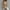 Khaki, variant on CHGBMOK Fall Sweaters Women Solid Color Long Sleeve O Neck Pullover Sweater Tops Black
