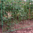 thumbnail image 4 of Grow Holder Net Garden Plants Climbing Net Plastic & Nylon, 4 of 5