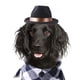 thumbnail image 3 of Sombrero de vaquero Zulema para mascotas negro, 3 of 7