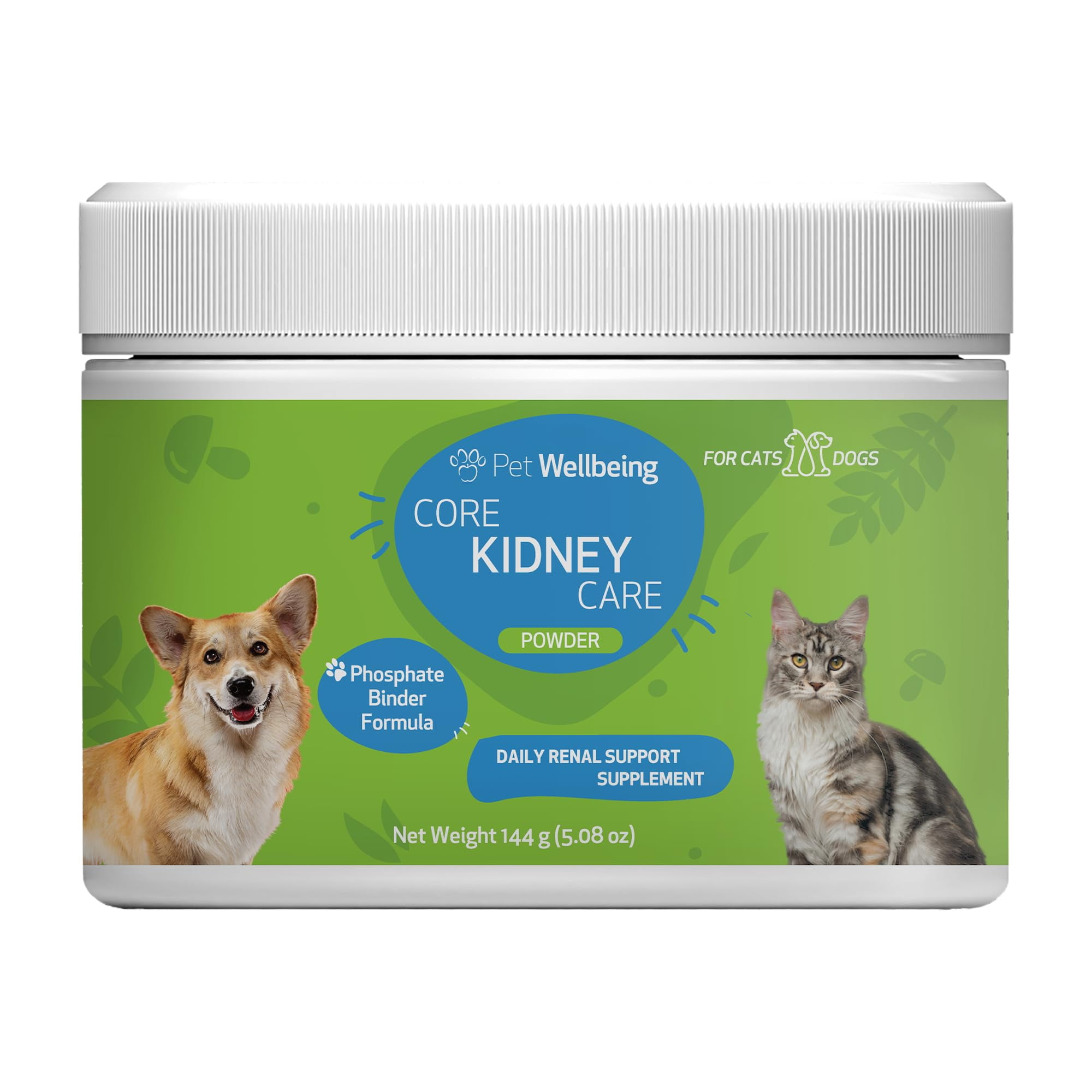 Which Probiotics Support Kidney Health in Cats: Top Picks Revealed