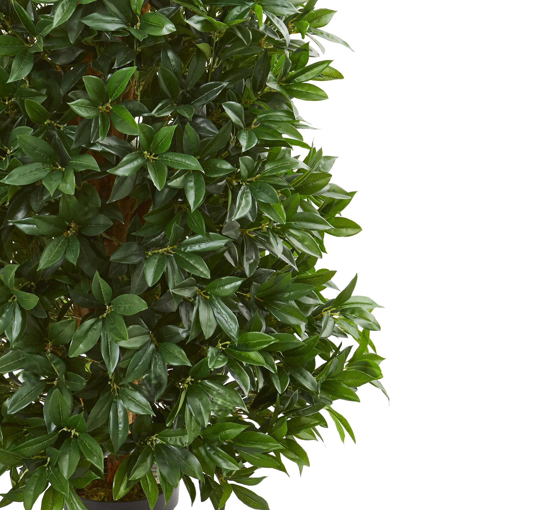 Nearly Natural 5ft. Bay Leaf Cone Topiary Artificial Tree UV Resistant (Indoor/Outdoor), Green
