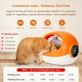 AMONSEE Automatic Cat Feeder,Microchip Dog Feeder with RFID Collar