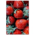 thumbnail image 1 of Picture-Tiles.com: Fruit Ceramic Tile Wall Mural WAL500689-46M. 24"W x 36"H using (24) 6" x 6" Ceramic Tiles-Satin Finish, 1 of 3