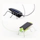 thumbnail image 4 of Niños Bebé Energía Solar Energía Insecto Insecto Saltamontes Niños Juguete Regalo Novedad Solar Juguetes divertidos seitruly WJ1280-01B, 4 of 7