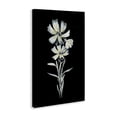 thumbnail image 3 of Stupell Industries Transitional Canvas Art, 16 x 24, by Leeza Hernandez, 3 of 8