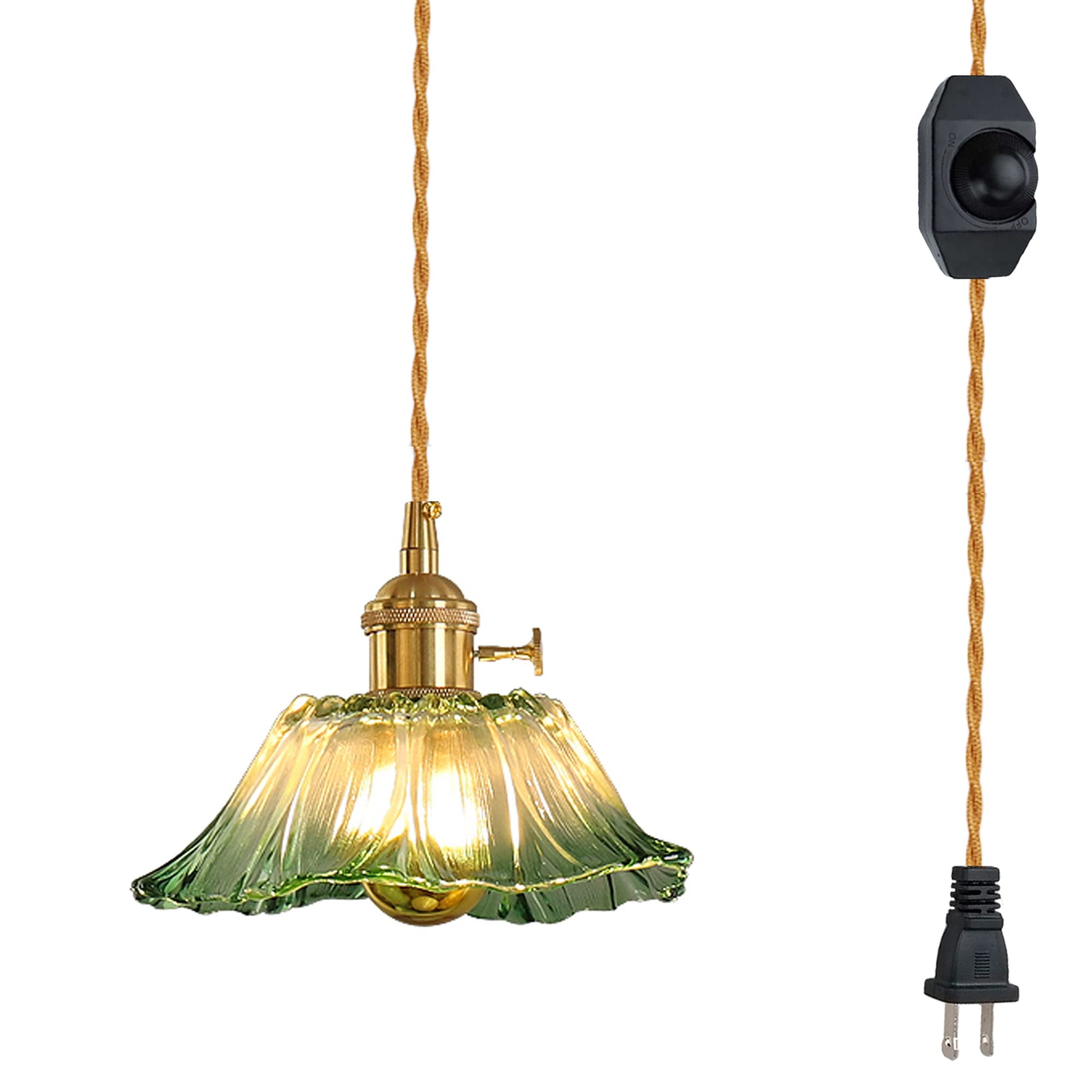 FSLiving Hanging Swag Pendant Light with 15ft Plugin UL Dimmable Cord