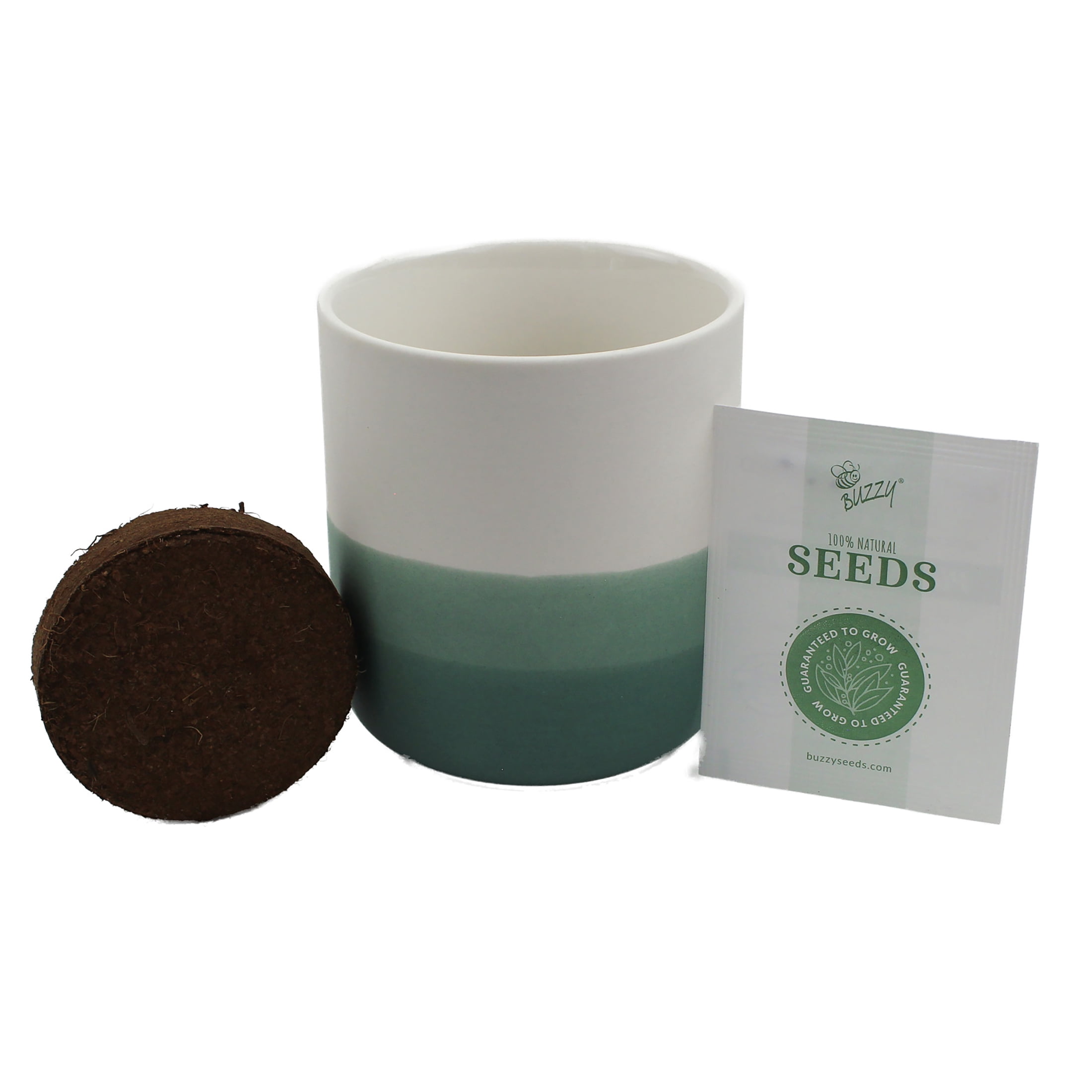 Buzzy Ombre Ceramic Desert Cactus Succulent Grow Kit