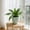 D, variant on Tuscom Artificial Green Plant for Indoor Outdoor Decoration, Faux Greenery Bush for Wall Table, Lifelike Plastic Plant for Home Garden