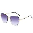 thumbnail image 2 of Unisex Square Classic Cat Eye Sunglasses Cateye Sunglasses Y1041, 2 of 4
