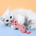 thumbnail image 5 of oshhnii 2xChew Grinding Play Toys Pillow Catnip Toy Cat Scratch pink 2 Pcs, 5 of 8