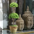thumbnail image 3 of LuxenHome 1.1-Foot Artificial Topiary Double Boxwood Tree, 3 of 3