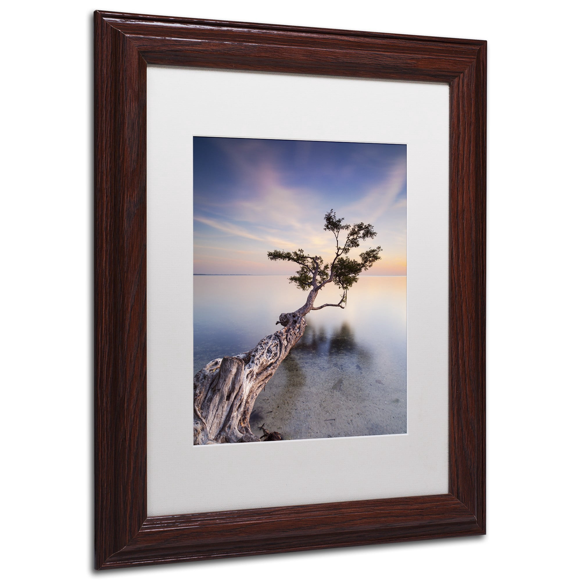 Trademark Fine Art "Water Tree X" Canvas Art by Moises Levy White Matte, Wood Frame