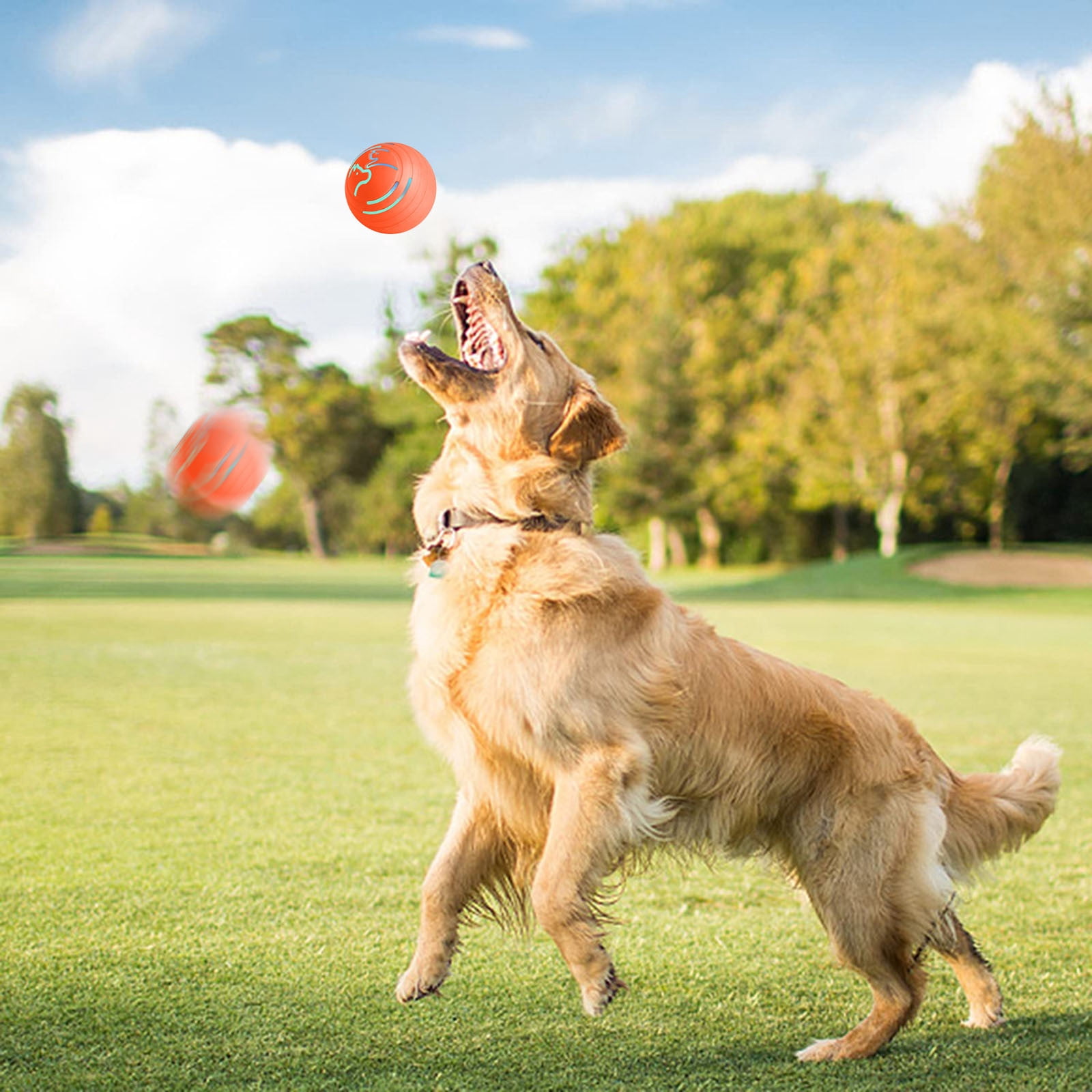 Interactive Dog Ball Toy - Automatic Motion Activated Rolling & Jumping Ball for Small Medium Dogs, Durable Anti-Chew Puppy Toys to Keep Pets Busy with Bouncing & Rotating Action