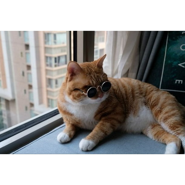 1PC Dog Cat Pet Glasses Sunglasses Little Dog Eye-wear Pos Props Dog Cat  Accessories Pet Supplies for Pet Products Cat Glasses 