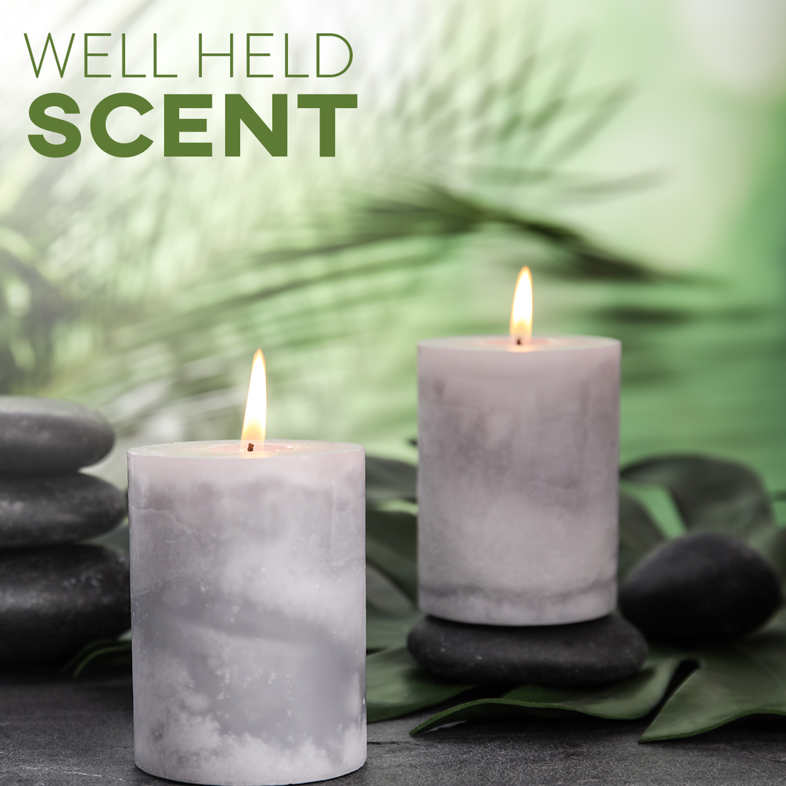 10lb Bag with 50ct 6/” Pre-Waxed Candle Wicks 3 Centering Device All-Natural /& RSPO Certified Hearts and Crafts Feathering Palm Candle Wax and Wicks for DIY Candle Making