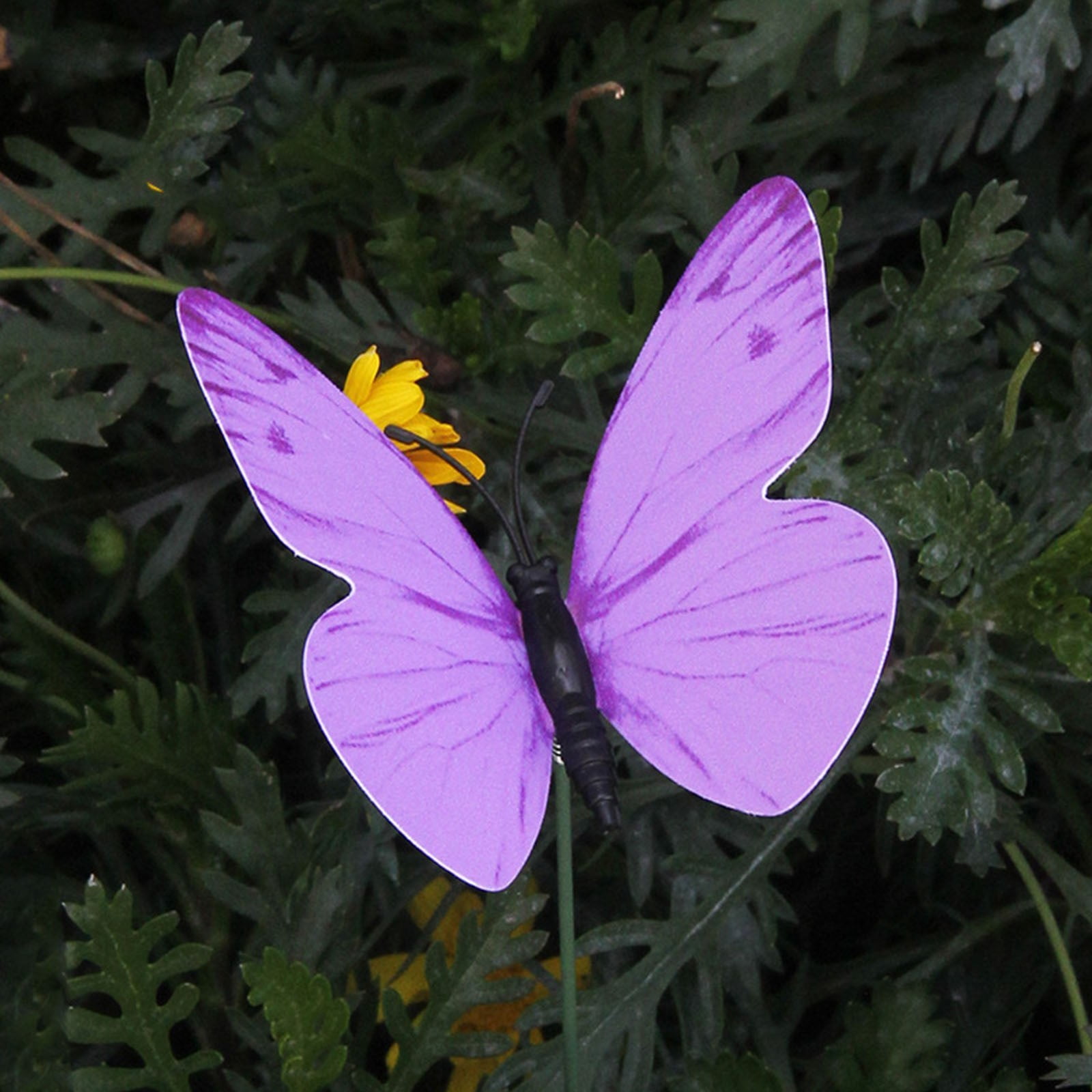Décoration De Jardin Papillon 3D En PVC De 25,4 Cm - Décoration De Jardin Pour Extérieur - Tête Secouante - Papillons Artificiels Pour Bouquet, Mur Extérieur, Pelouse, Allée, Pot De Fleurs, Parterre