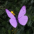 thumbnail image 4 of THHEIC 1 Pack 3D Butterfly Stakes for Garden Decor, 12cm Fake Butterflies Stake for Lawn, Patio, Yard, Pathway, Indoor and Outdoor Ornaments, 4 of 4