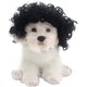 thumbnail image 2 of Divertida peluca de cosplay para perros y gatos, disfraces para mascotas, disfraz de gato para Halloween, Navidad, fiestas, festivales, pelucas para perros pequeños, medianos y grandes Rojo Verde, 2 of 4