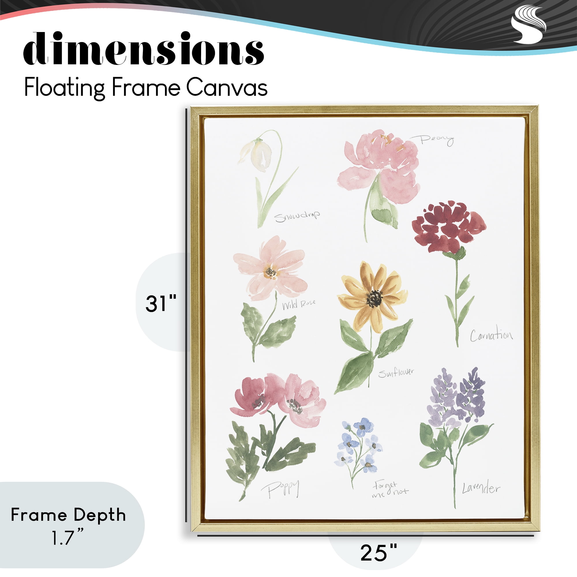 Stupell Industries Labeled Flower Varieties Gold Framed Floater Canvas Wall Art, design by Lucille Price
