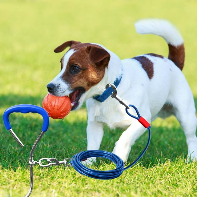 Pet Supplies Dog Tie Out Stake Kit Heavy Duty Metal Ground Stake for Outdoor Training and Secure Fencing with Tether Rope - Durable Steel Ground Pin for Small to Medium Dogs