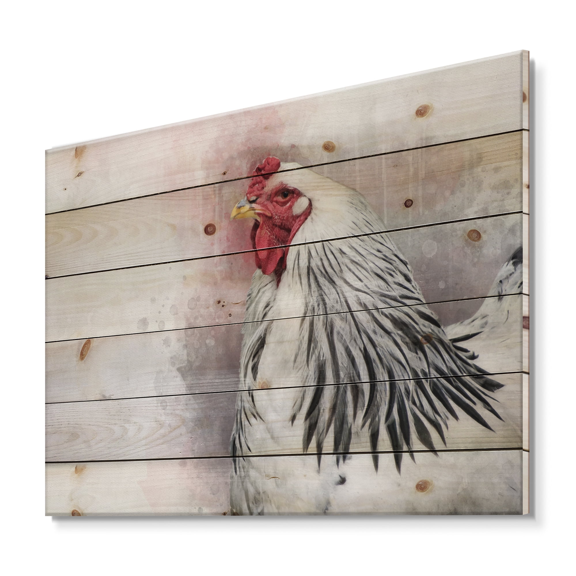 Designart 'Close Up Of White Columbia Brahma Rooster Bird' Traditional Print on Natural Pine Wood