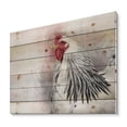 thumbnail image 2 of Designart 'Close Up Of White Columbia Brahma Rooster Bird' Traditional Print on Natural Pine Wood, 2 of 5