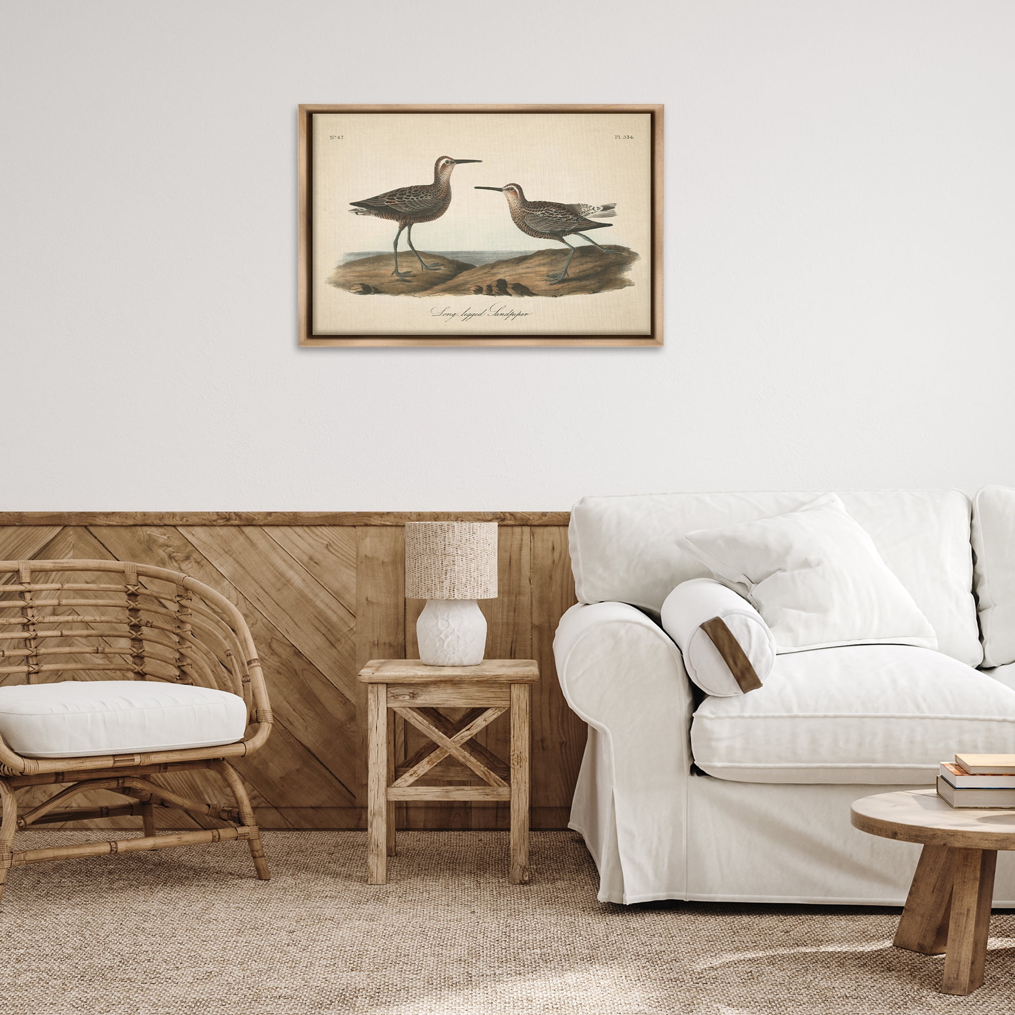 Stupell Industries Long Legged Sandpiper Animals & Insects Painting Brown Floater Framed Canvas Art Print Wall Art, 31 x 21