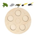 thumbnail image 3 of de Ciclo de de Vida Montessori Temprano # Educativo ños en Edad Preescolar , Rana Salvador Dali Tablero de ciclo de vida, 3 of 8