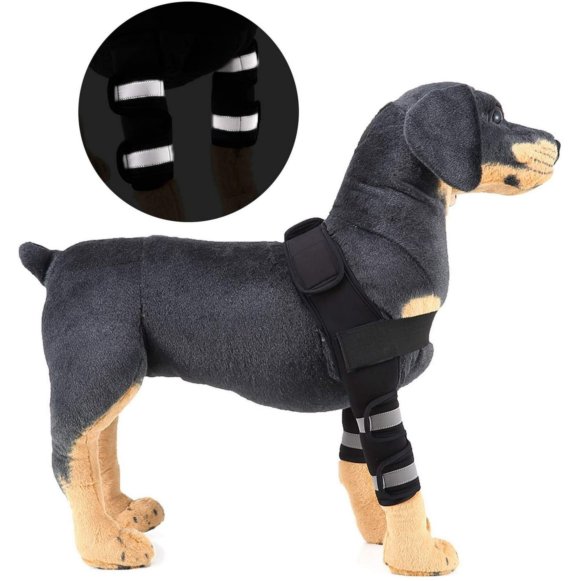 How Do You Wrap A Dog With A Dislocated Shoulder