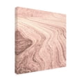 thumbnail image 2 of Alan Majchrowicz 'Coyote Buttes V Blush Crop' Canvas Art, 2 of 3