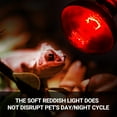thumbnail image 6 of ECOSUB Reptile Heat Lamp 100W, 2Pcs E26 Basking Spot Light, Infrared Heat Lamp, Red, 6 of 11