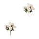 thumbnail image 1 of Advancent Flores artificiales hipoalergénicas no tóxicas y aptas para mascotas de seda, seguras para gatos y perros, de apariencia realista Rosa 2Conjunto, 1 of 6