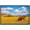 BLACK, variant on wall26 Framed Canvas Print Wall Art Montana Mountain Cloudy Valley Bison Buffalo Nature Animals Photography Realism Rustic Scenic Landscape Colorful for Living Room, Bedroom, Office - 16"x24&quo