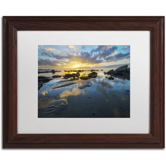 Trademark Fine Art "Nature's Gift" Canvas Art by Mathieu Rivrin, White Matte, Wood Frame