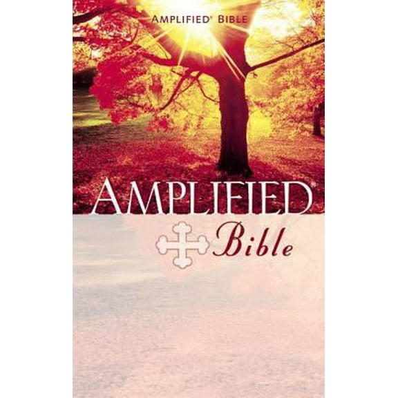 Pre-Owned Amplified Bible (Hardcover) 0310951682 9780310951681
