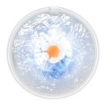 thumbnail image 4 of Fuente de agua , cuenco para beber automático de material acero inoxidable de 2, automático, dispensador de agua para , perros, Yinane cuenco para beber, 4 of 8