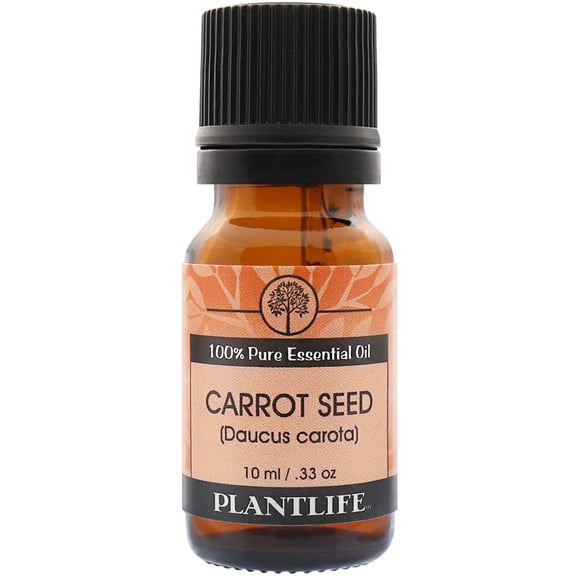 Plantlife Carrot Seed Aromatherapy Essential Oil - Straight From The Plant 100% Pure Therapeutic Grade - No Additives or Fillers - 10 ml