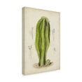 thumbnail image 2 of Trademark Fine Art 'Antique Cactus VI' Canvas Art by Curtis, 2 of 4