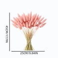 thumbnail image 3 of chaungfeng 17" Artificial Bunny Tails Dried Flowers, 20 Pcs Faux Dried Lagurus Ovatus, Dried Pink Pampas Grass Decor for Farmhouse Flower Arrangements Wedding Home Boho Party Decorations, 3 of 8